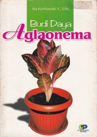 Image of Budi Daya Aglaonema