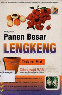 Image of Panen Besar Lengkeng Dalam Pot