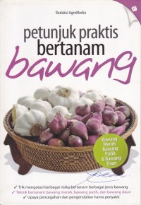 Image of petunjuk praktis bertanam bawang