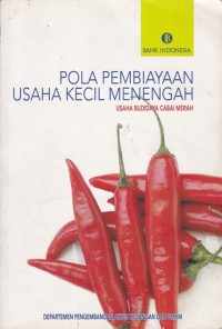 Image of POLA PEMBIAYAAN USAHA KECIL MENENGAH