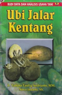 Image of Ubi Jalar Kentang