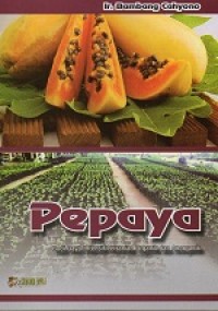 Image of Budidaya Pepaya