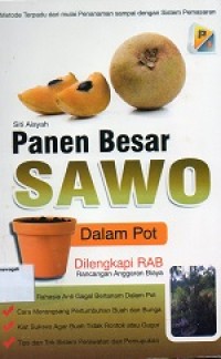 Image of Panen Besar Sawo