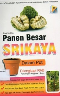 Image of Panen Besar Srikaya Dalam Pot