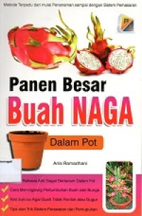 Image of Panen Besar Buah Naga Dalam Pot