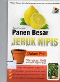 Image of Panen Besar Jeruk Nipis Dalam Pot