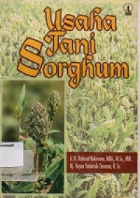 Image of Usaha Tani Sorghum