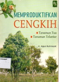 Image of Memproduktifkan Cengkeh
