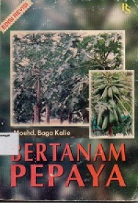 Image of Bertanam Pepaya